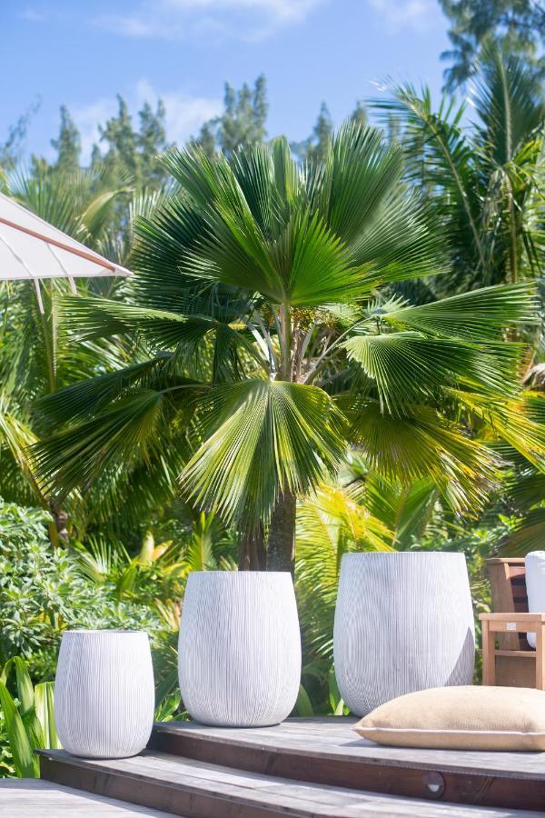 Motu Nao Nao Private Island Villa Opoa ภายนอก รูปภาพ